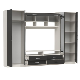 Шкаф многоцелевого назначения Вена 91.01 