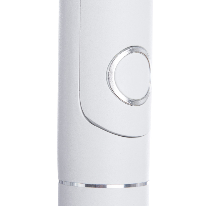 Спот, Спот ORION