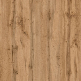 Большой уголок школьника Вуди № 24